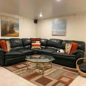 Treasure In Queens Apartment